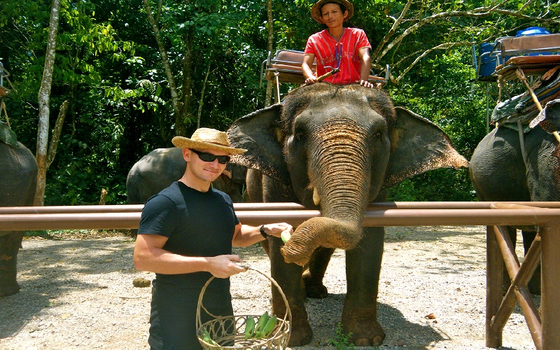 Elephant Trekking & Show + Ox-Cart Riding + Buffalo Half Day Tour