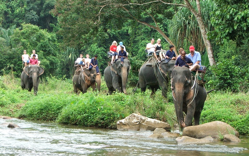 Rafting + Elephant Trekking Tour